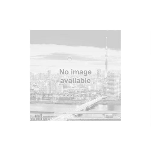 50 W Abschlusswiderstand DC-4 GHz 4.3-10 Buchse Produktbild Front View L